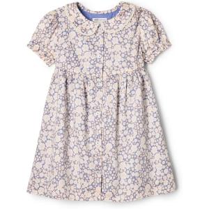 imageAmazon Essentials x Sofia Grainge Toddler and Baby Girls Cotton Sateen Dress with CollarBlue Ivory Delicate Floral