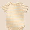 image:imageAmazon Essentials Unisex Babies ShortSleeve BodysuitsMulticolorTiger