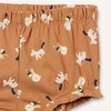 image:imageAmazon Essentials Toddler and Baby Girls Cotton Bloomer Shorts with Elastic Waist PullonPale PeachStripeLion and Pony