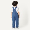 image:imageAmazon Essentials Unisex Babies Soft Stretch RegularFit Denim OverallsMedium Blue Vintage