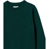 image:imageAmazon Essentials Boys and Toddlers Cotton Uniform Crewneck Pullover SweaterGreen
