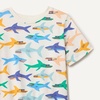image:imageAmazon Essentials Boys and Toddlers Short Sleeve Tee Shirts Cotton JerseyIvory Sharks