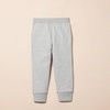 image:imageAmazon Essentials Boys and Toddlers Soft Fleece Jogger Sweatpants2pack Medium Heather Gray