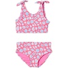 Hot Pink Shells