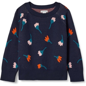 image:imageAmazon Essentials Girls and Toddlers Knitted Pullover Crewneck SweaterDark Navy  Flower Stems