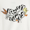 image:imageAmazon Essentials Babies Toddlers and Boys SnugFit Cotton Pajama Set MultipacksLooney Tunes Gang  Kids