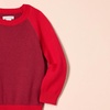 image:imageAmazon Essentials Boys and Toddlers Cotton Knit Pullover Crewneck SweaterRed Color Block