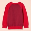 image:imageAmazon Essentials Boys and Toddlers Cotton Knit Pullover Crewneck SweaterRed Color Block
