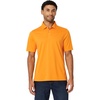 Apricot Orange