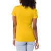 image:imageAmazon Essentials Womens SlimFit ShortSleeve Crewneck TShirt Pack of 2WhiteGold